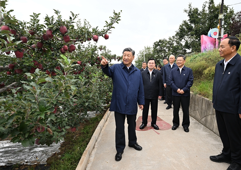 习近平在甘肃考察时强调深化改革勇于创新苦干实干富民兴陇奋力谱写中国式现代化甘肃篇章途中在陕西宝鸡考察蔡奇陪同考察「相关图片」 习近平在甘肃考察时强调深化改革勇于创新苦干实干富民兴陇奋力谱写中国式现代化甘肃篇章途中在陕西宝鸡考察蔡奇陪同考察「相关图片」