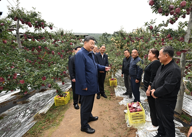 习近平在甘肃考察时强调深化改革勇于创新苦干实干富民兴陇奋力谱写中国式现代化甘肃篇章途中在陕西宝鸡考察蔡奇陪同考察「相关图片」 习近平在甘肃考察时强调深化改革勇于创新苦干实干富民兴陇奋力谱写中国式现代化甘肃篇章途中在陕西宝鸡考察蔡奇陪同考察「相关图片」