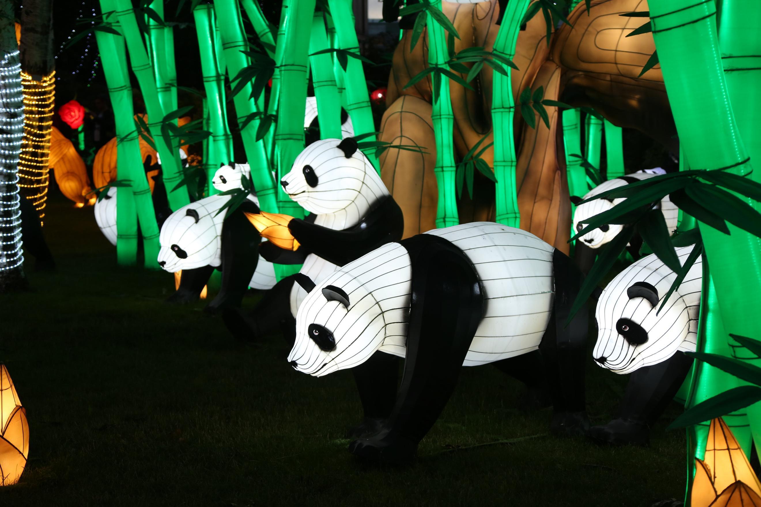 自贡花灯点亮汉堡夜空首次亮相g20峰会